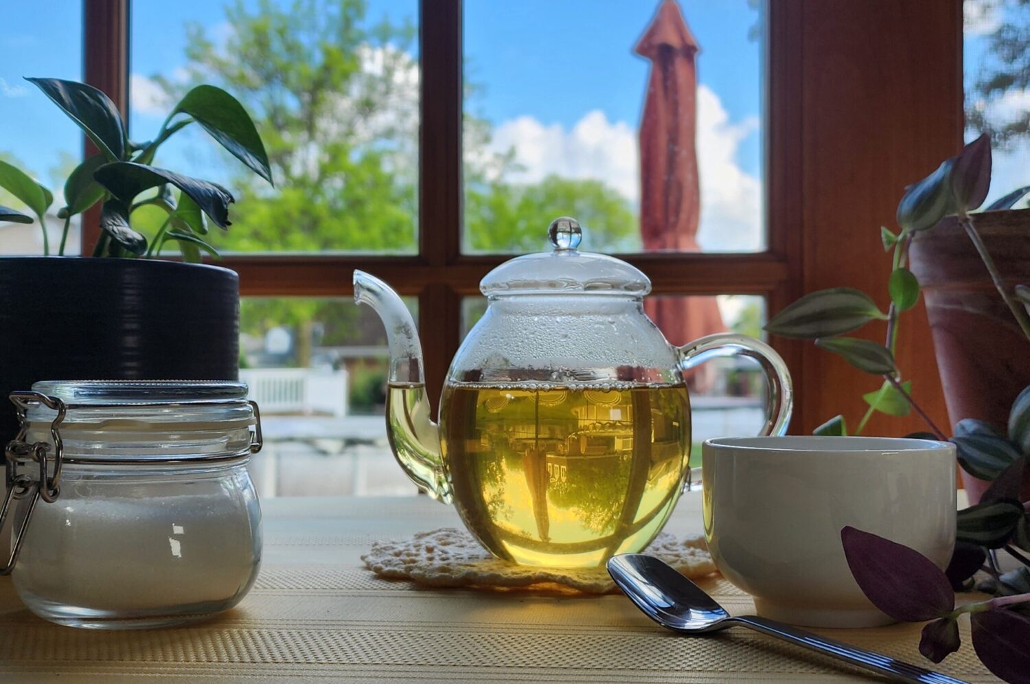 Cucumber Lime Oolong